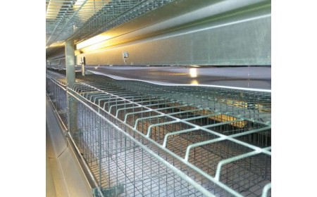 Correas transportadoras del estiércol de aves de corral de los PP / PE para la granja de pollo